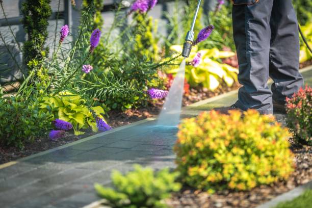 Reliable Lily Lake, IL Pressure Washing Services Solutions